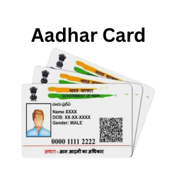 Aadhar Card Crop